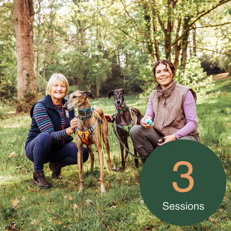 1-to-1 Dog Training - 3 Session Package