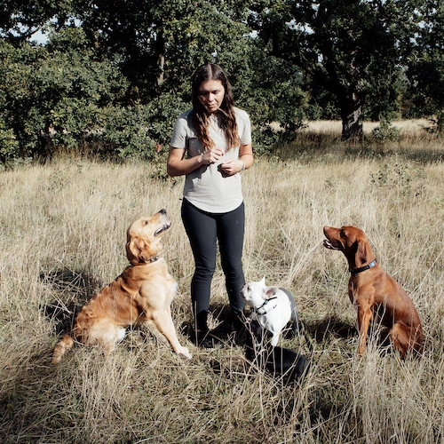 Booking &ndash; Jan 06, 2026 @ 08:19 PM