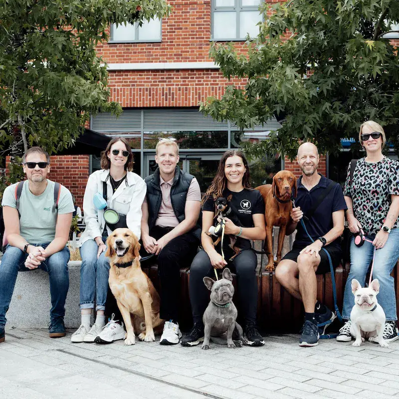 City Paws - Arborfield - Image 2