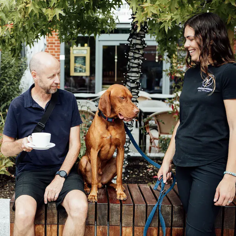 City Paws - Arborfield - Image 6