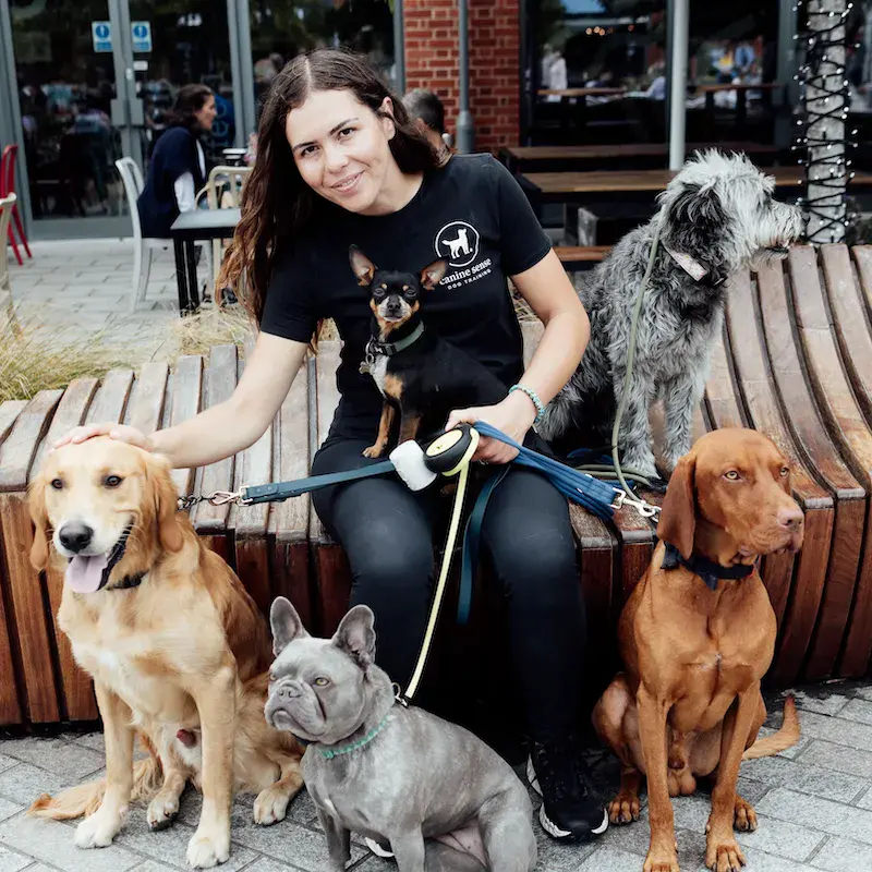 City Paws - Arborfield - Image 7