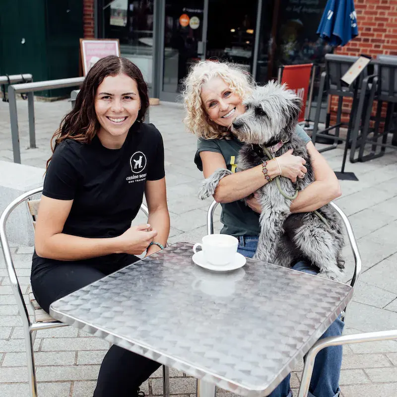 City Paws - Arborfield - Image 8