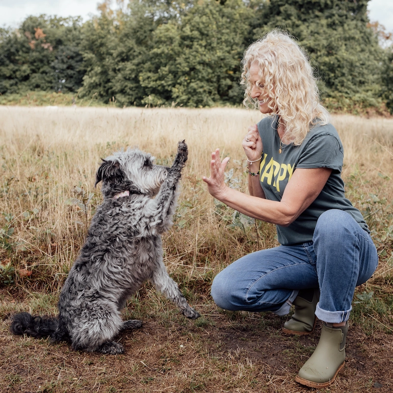 Flurina Stocker practising Training Without Conflict dog training in Berkshire.