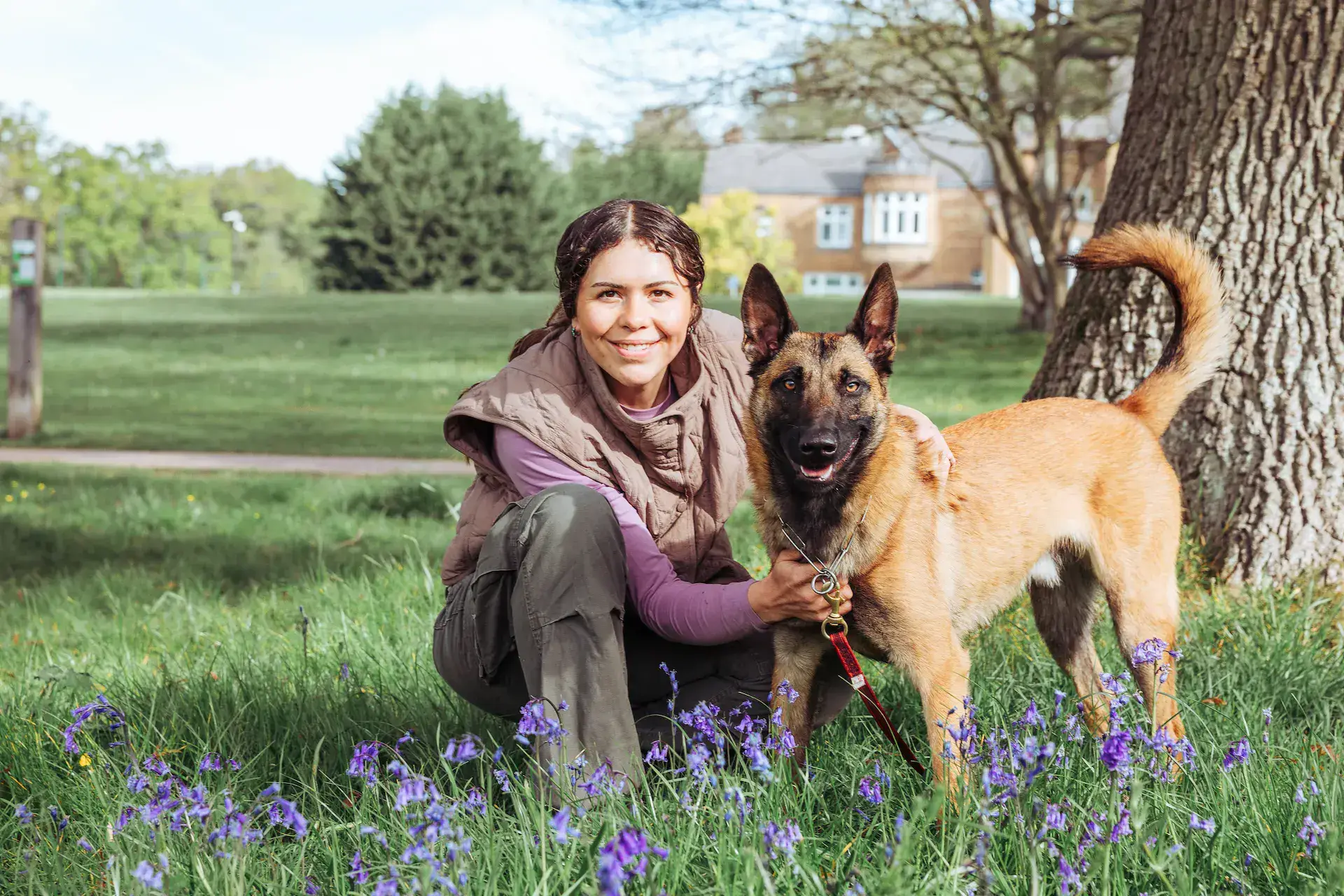 Canine Sense dog training Berkshire Surrey – Training Without Conflict method